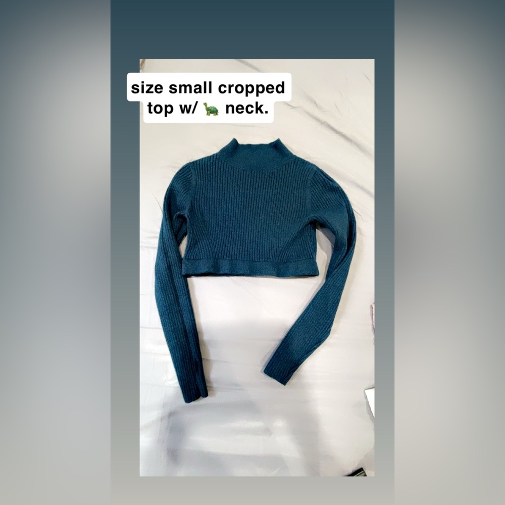 American Eagle Outfitters Blue Mock Neck Crop Top